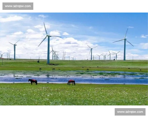 2025 呼和浩特 “环哈素海” 轮滑赛开赛:风驰塞外西湖 2025 呼和浩特 “环哈素海” 轮滑赛开赛:风驰塞外西湖