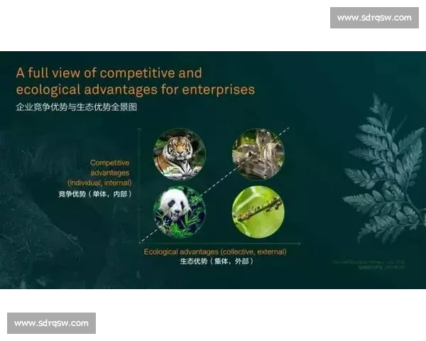 沙西拉克对阵方便的实力碰撞与战术博弈全面解析赛前焦点之战深度